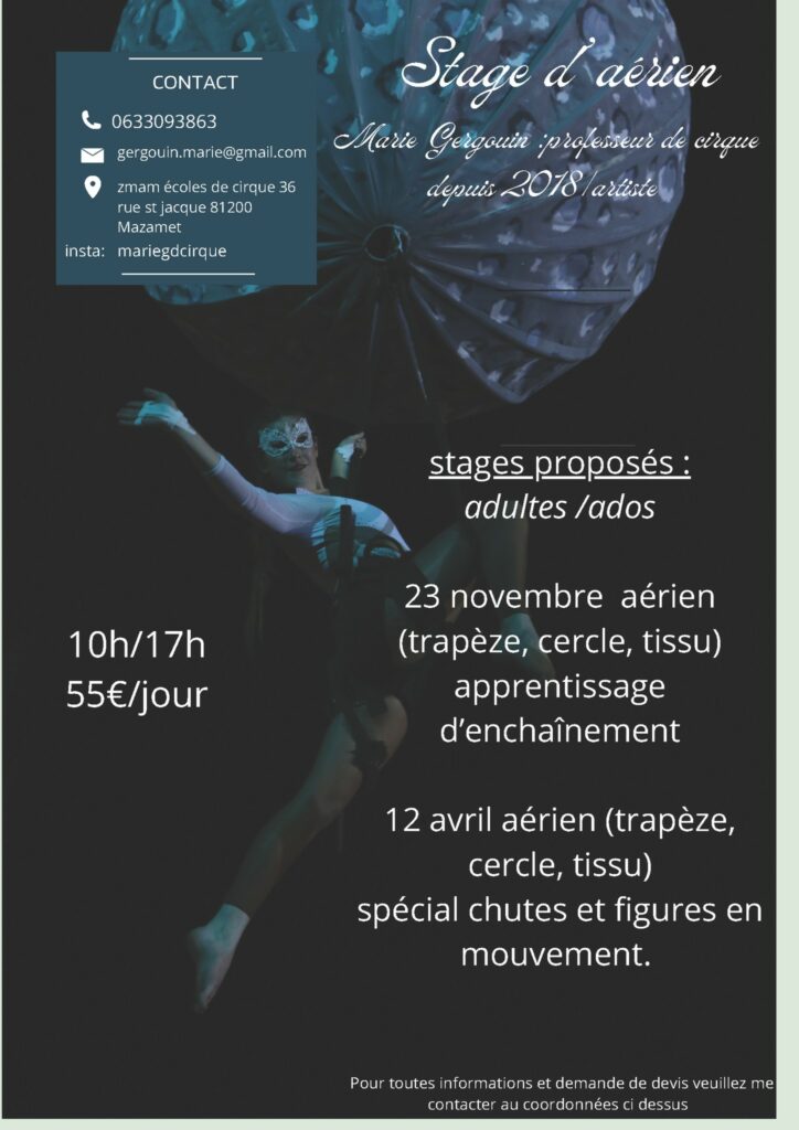 Stage aérien : trapèze, cercle et tissu, spécial chutes et figures en mouvement !